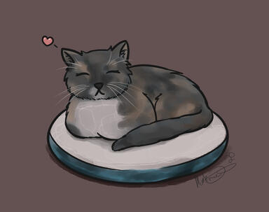 Cat Drawing